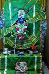 Shri Shrinathji